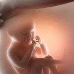 क्या गर्भ में भी शिशु बीमार होता है जानिए
