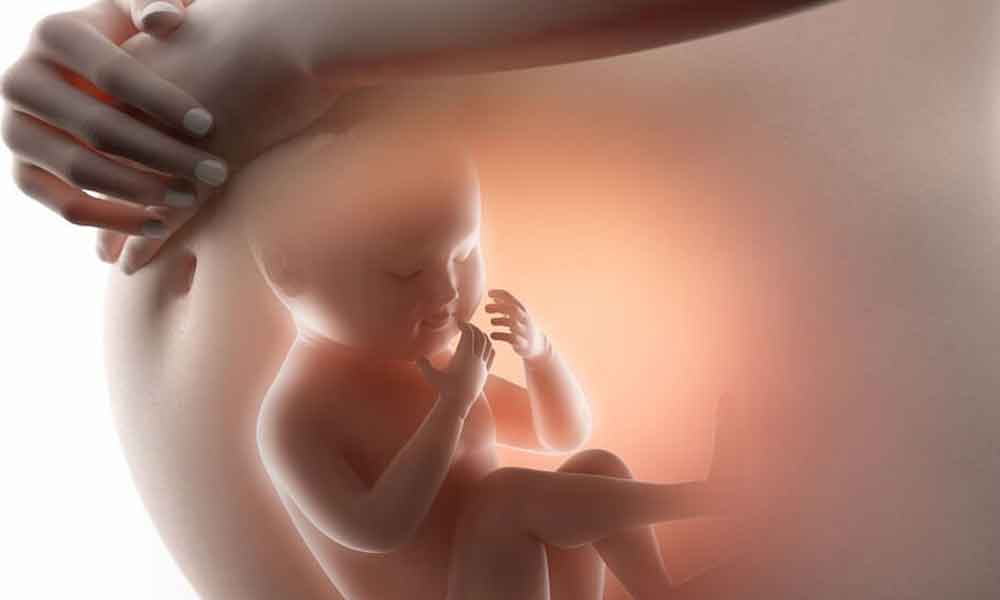 क्या गर्भ में भी शिशु बीमार होता है जानिए