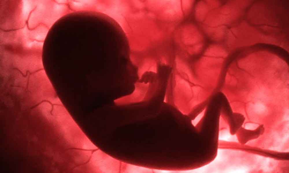 गर्भ में शिशु सांस कैसे लेता है?