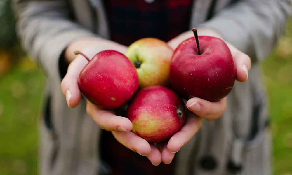 आजकल सेब खाना क्यों फायदेमंद है प्रेगनेंसी में