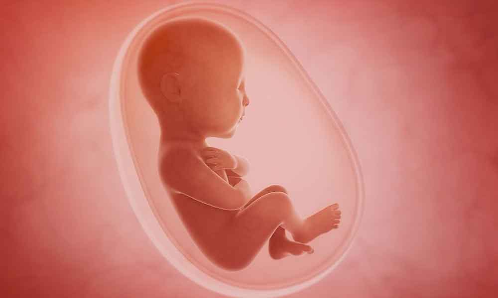 गर्भ में पल रहा शिशु इन चीजों को करता है महसूस