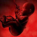 गर्भ में शिशु का दिल, लिवर, किडनी कमजोर होने से ऐसे बचाएं