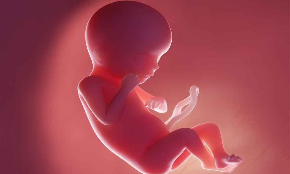 गर्भ में शिशु का वजन बढ़ाने के 10 उपाय