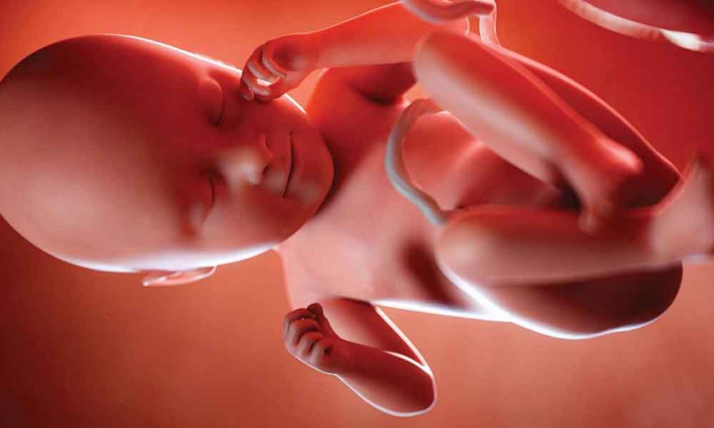 गर्भ में शिशु कौन सी हरकतें करता है