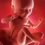 गर्भ में शिशु जब मूव नहीं करें तो प्रेग्नेंट महिला घर इन 5 टिप्स को ट्राई करें