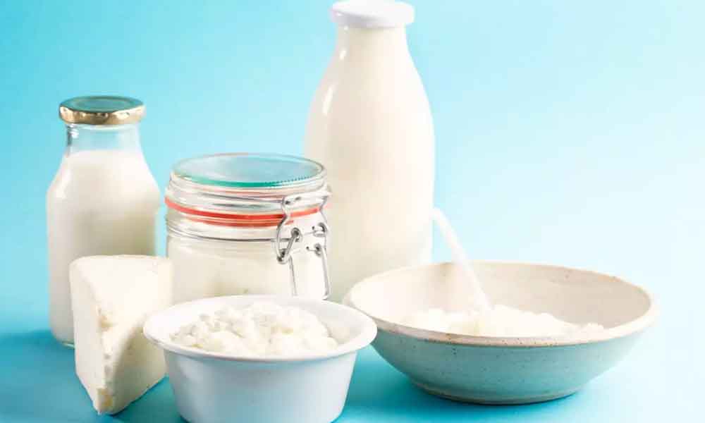 Which one is more beneficial milk or curd in Pregnancy