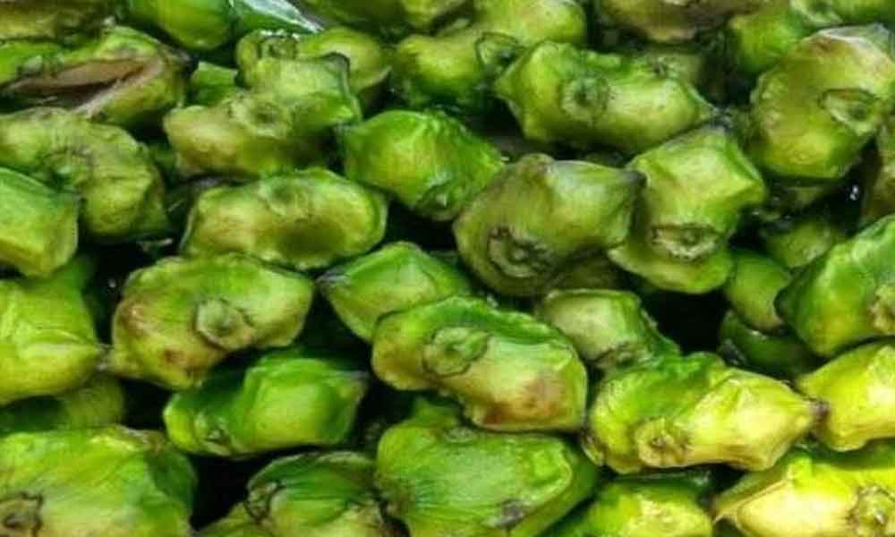 Benefits of eating water chestnut in pregnancy