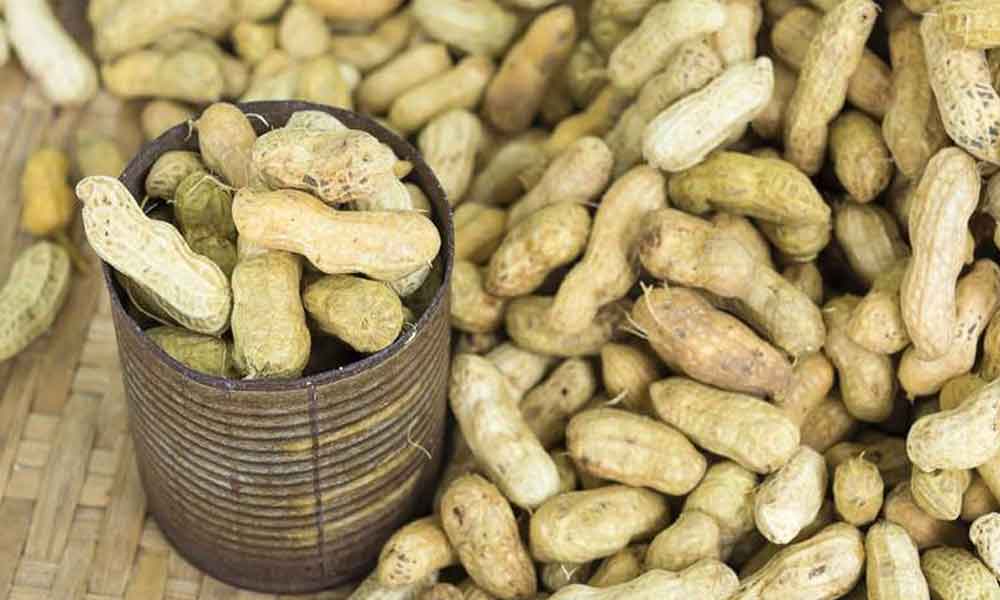 Is it safe for pregnant women to eat peanuts in winter