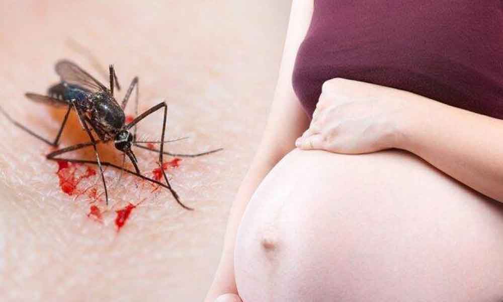 Pregnancy me mosquito se bachav