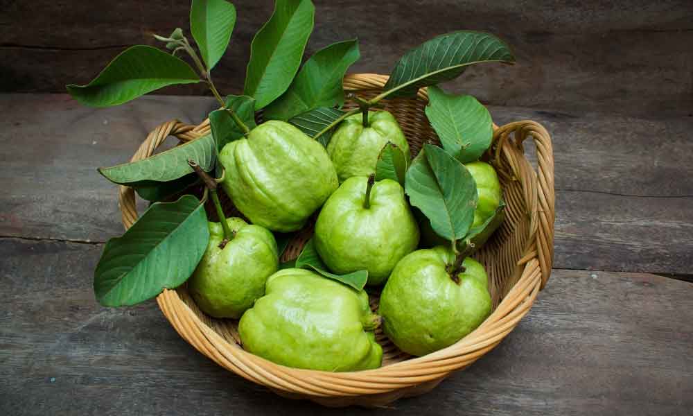 When-and-how-to-eat-guava-in-pregnancy