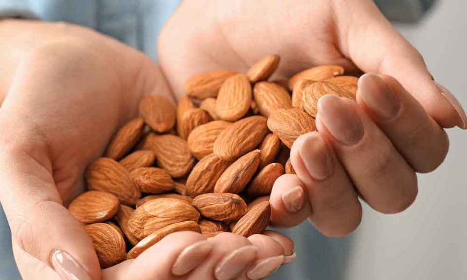 प्रेगनेंसी में बादाम, किशमिश और छुहारे खाने के तरीके, Almonds, Raisins