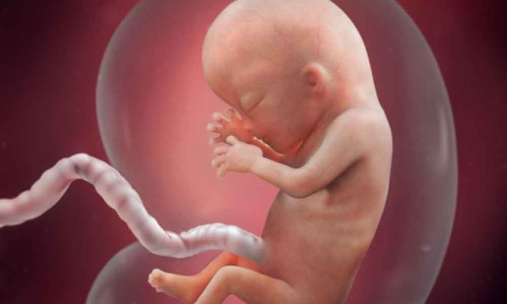 Why the baby stops developing in the womb
