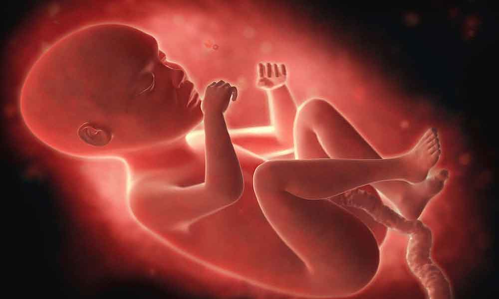 Fetal development