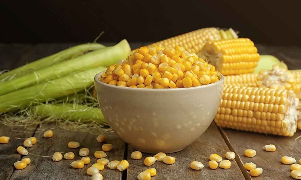 Benefits and harmful effect of eating corn during pregnancy