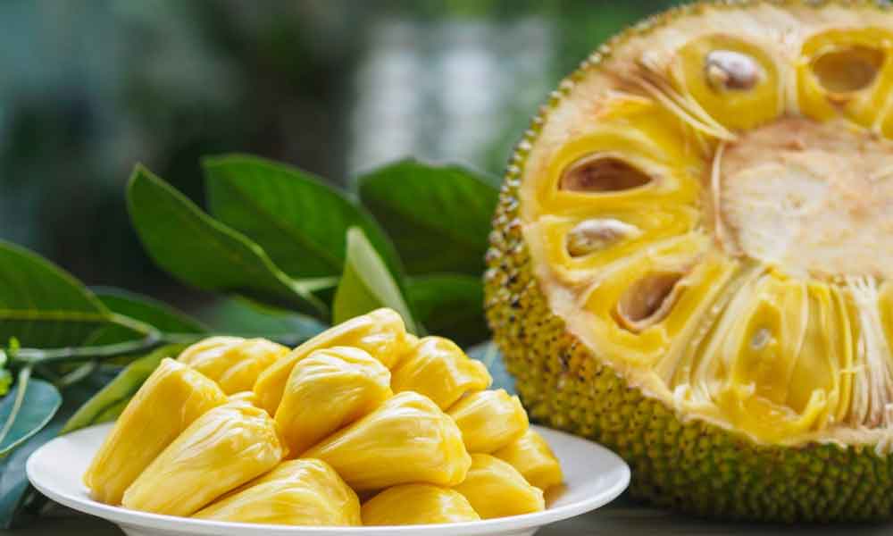 Jackfruit-during-pregnancy Jackfruit during pregnancy