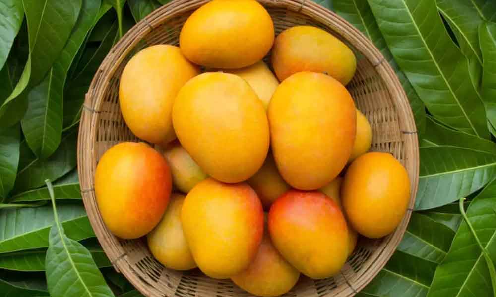 Pregnant women should not eat these things after eating mangoes