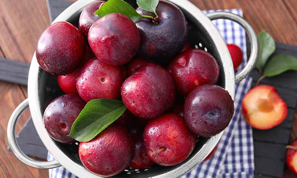 Health benefits of eating Plum during Pregnancy