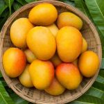 Harmful effect on health after eating mango