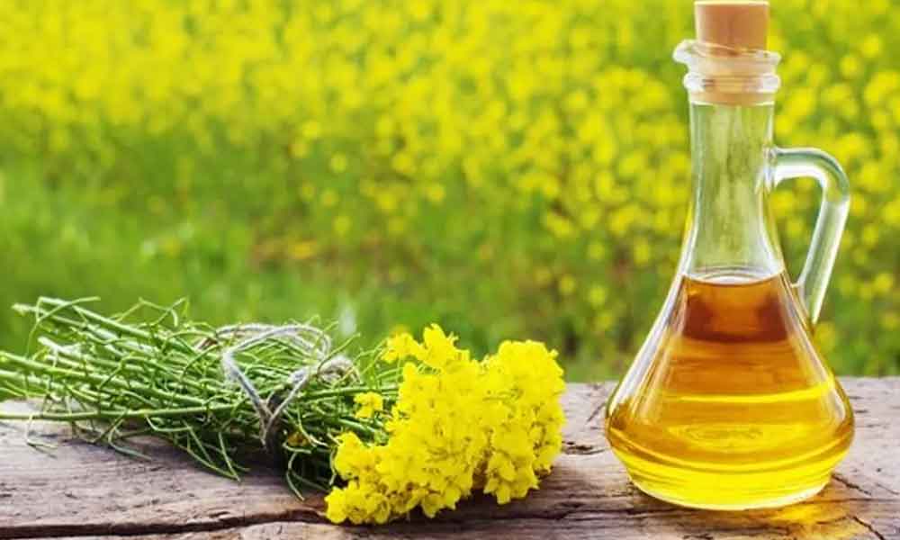 Benefits of eating mustard oil in pregnancy