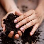 What happens if you eat soil during pregnancy