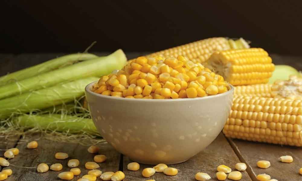 Benefits of eating corn during pregnancy