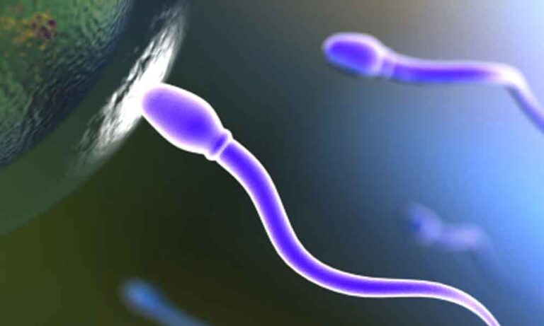 Causes of low sperm count