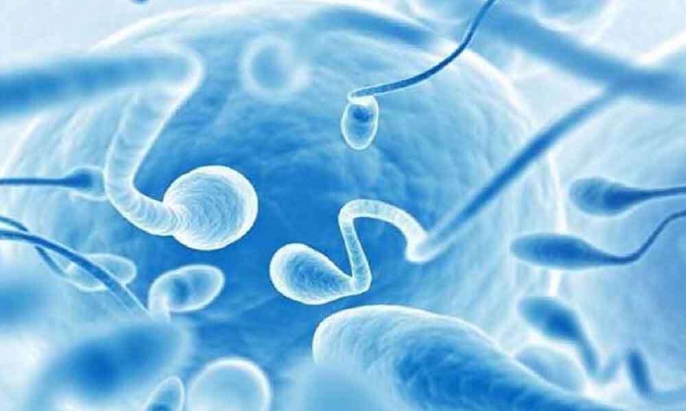 Remedies to increase Sperm Count