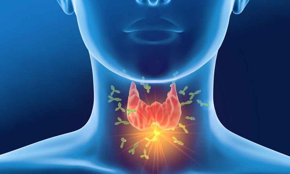 Thyroid Remedies